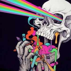 Meet your Posher, Shane